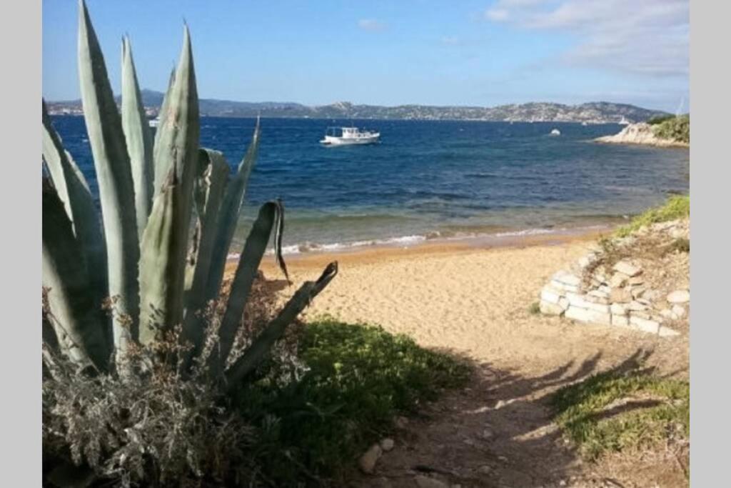 Casa Maddalenina Con Giardino, Vicino Al Mare! Διαμέρισμα Λα Μανταλένα Εξωτερικό φωτογραφία